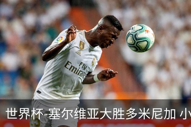 世界杯-塞尔维亚大胜多米尼加 小组第二进八强
