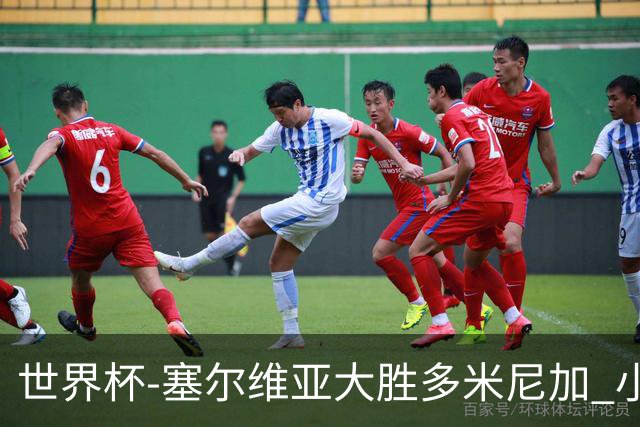 世界杯-塞尔维亚大胜多米尼加 小组第二进八强