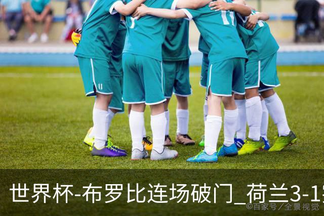 世界杯-布罗比连场破门 荷兰3-1突尼斯获小组头名将战摩洛哥