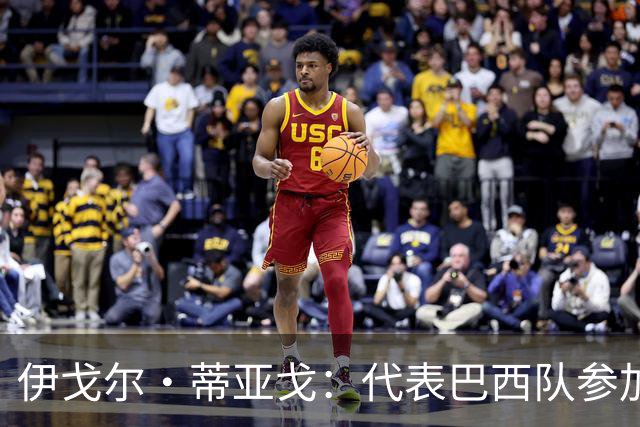 伊戈尔·蒂亚戈：代表巴西队参加世界杯，是我从小的梦想