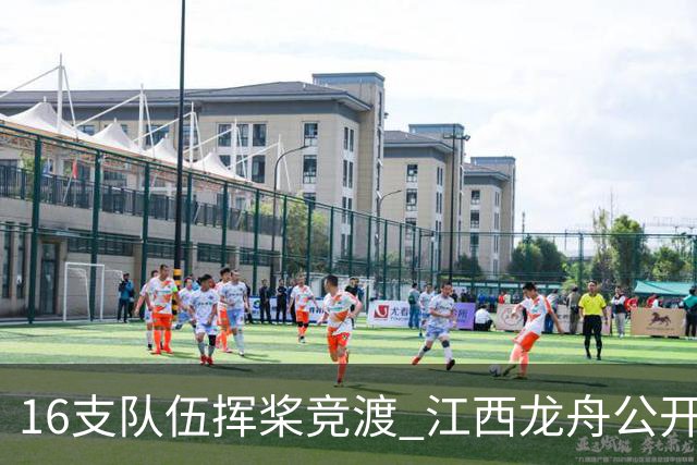 16支队伍挥桨竞渡 江西龙舟公开赛燃动分宜